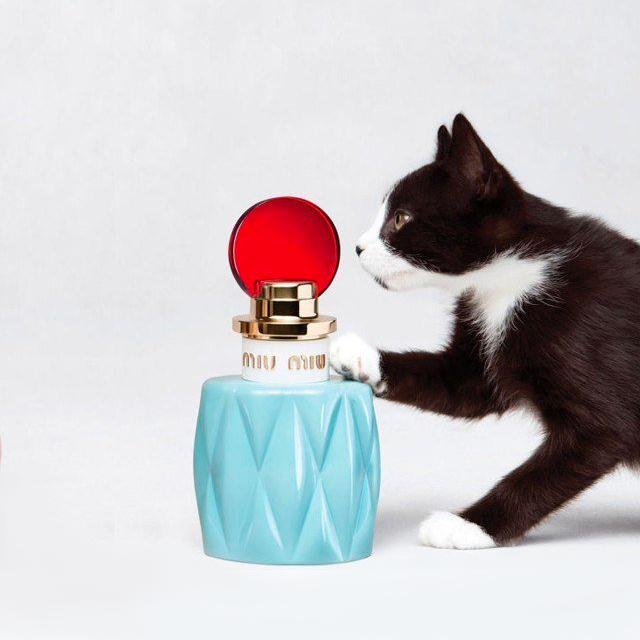 Eau de Parfum SIZE 3.4 oz/ 101 mL